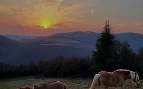 B&B Cà Montemezzano